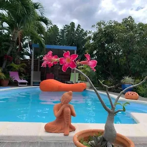 La ô Plaisir Deshaies